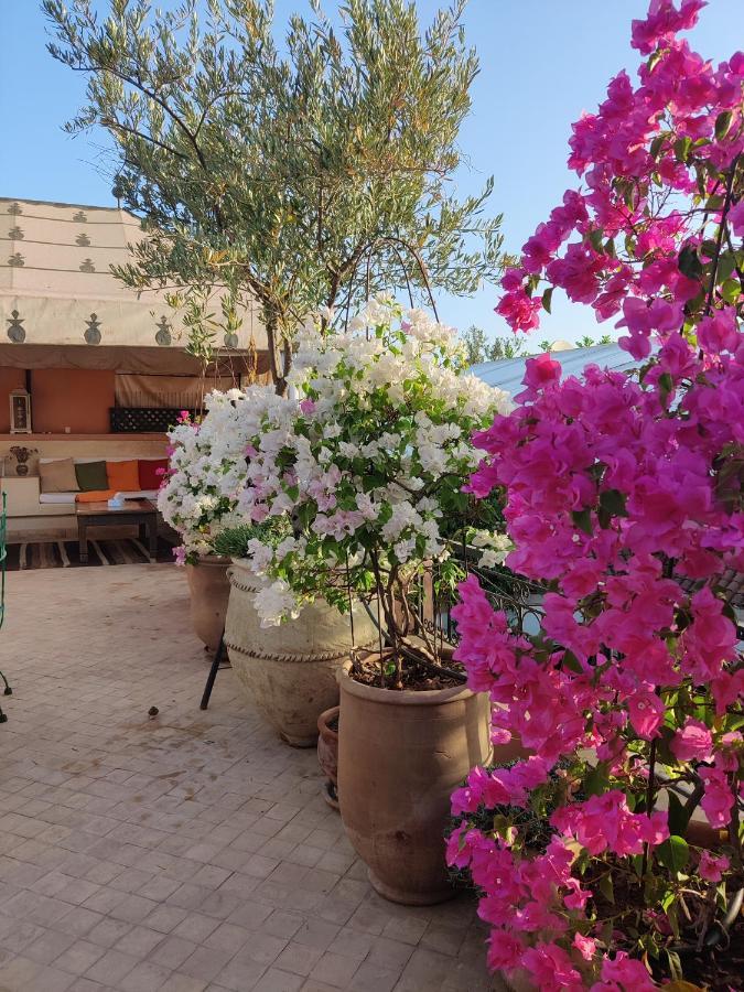 Riad Nirvana Marrakesh Exterior foto