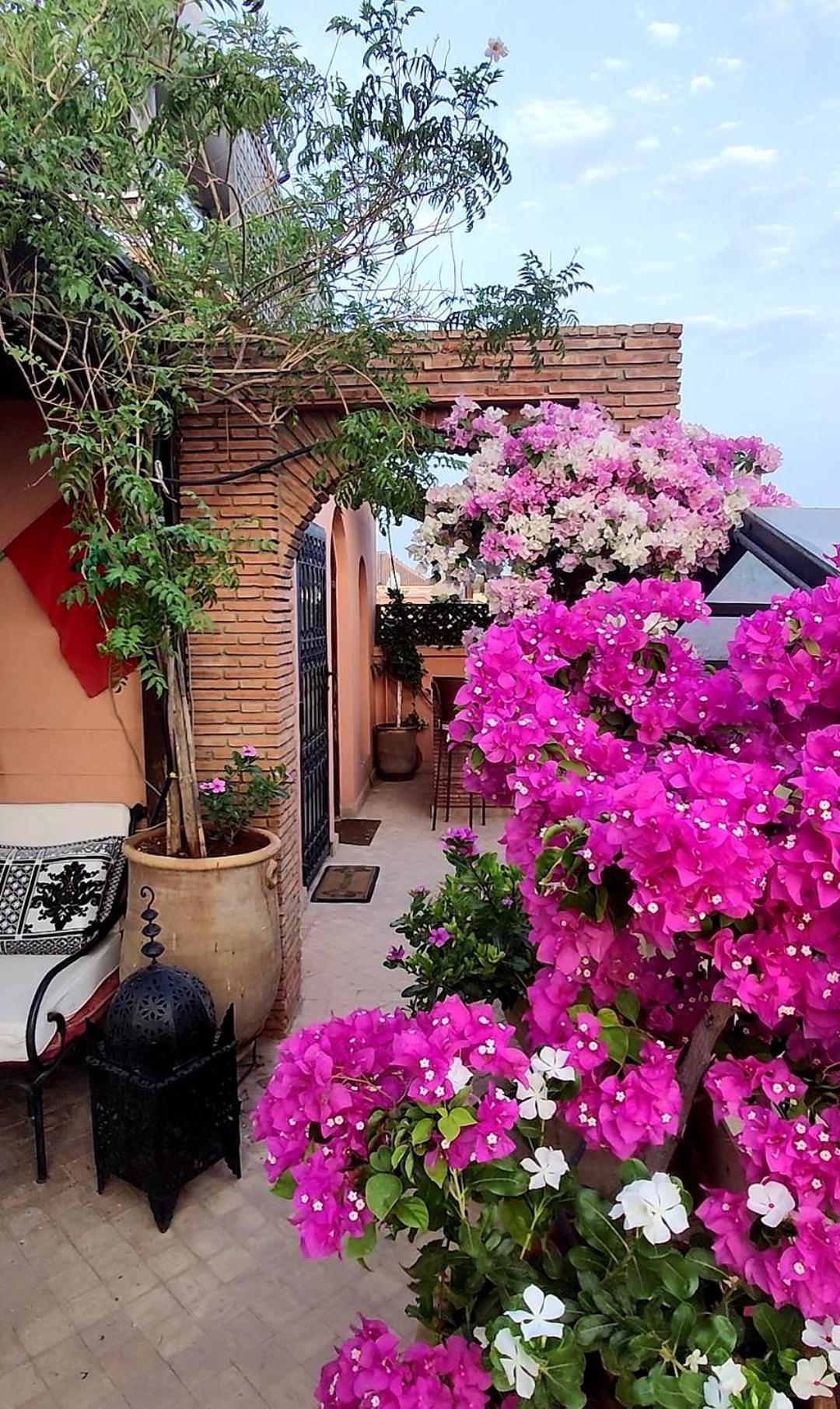 Riad Nirvana Marrakesh Exterior foto