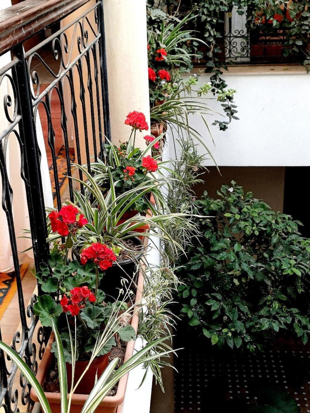 Riad Nirvana Marrakesh Exterior foto